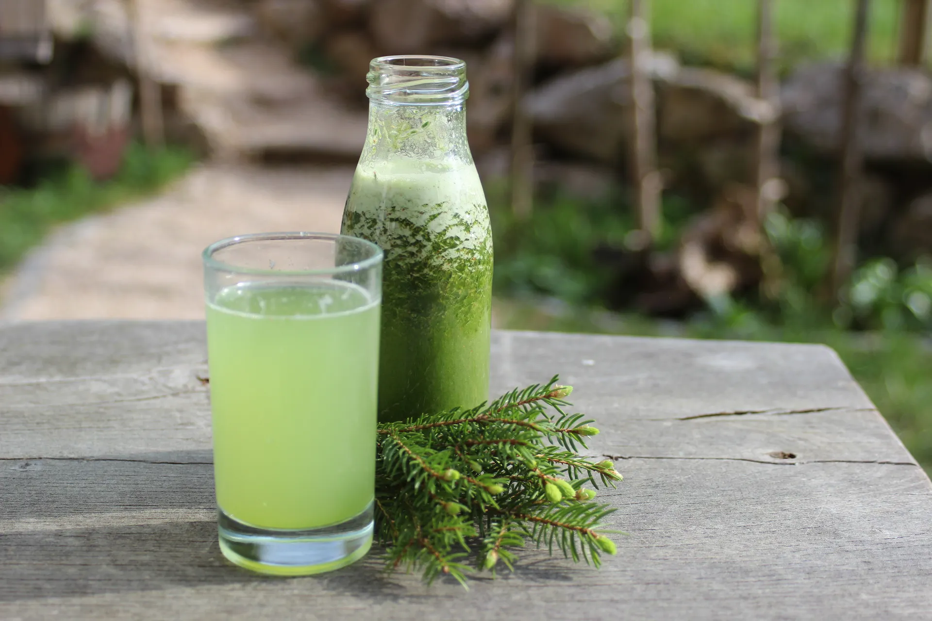 Fichtennadel Oxymel in Glas und Flasche